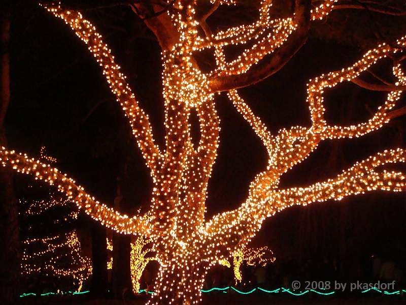 059 Toledo Zoo Light Show [2008 Dec 27].JPG - Scenes from the Toledo Zoo Light Show.